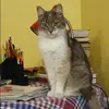 Отзыв от Евгения Никифорова